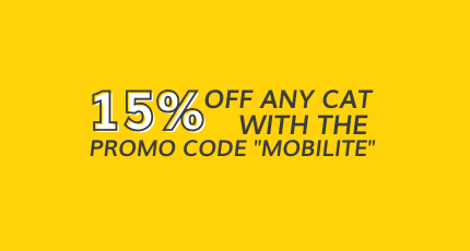 15% OFF ANY CAT