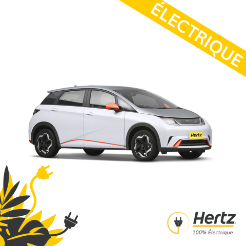 BYD Dophin Electric Take advantage of our free charger network and download Hivy!