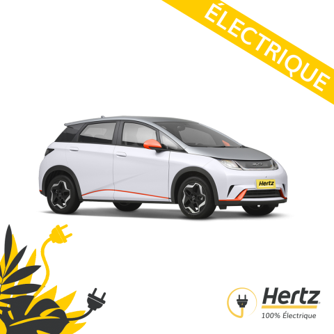 BYD Dophin Electrique Profitez de notre réseau de borne gratuit ! Téléchargez Hivy !