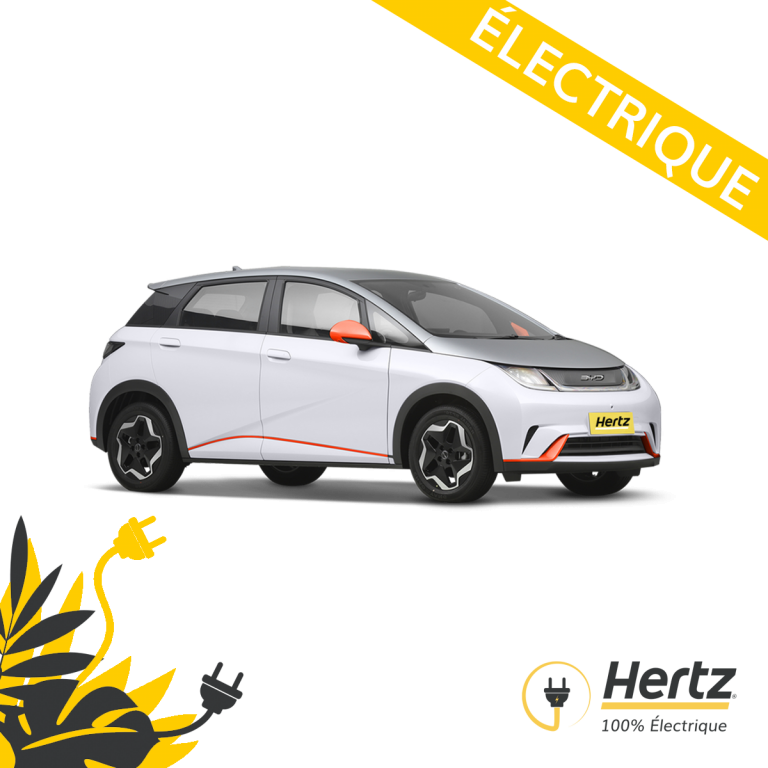 BYD Dophin Electrique Profitez de notre réseau de borne gratuit ! Téléchargez Hivy !